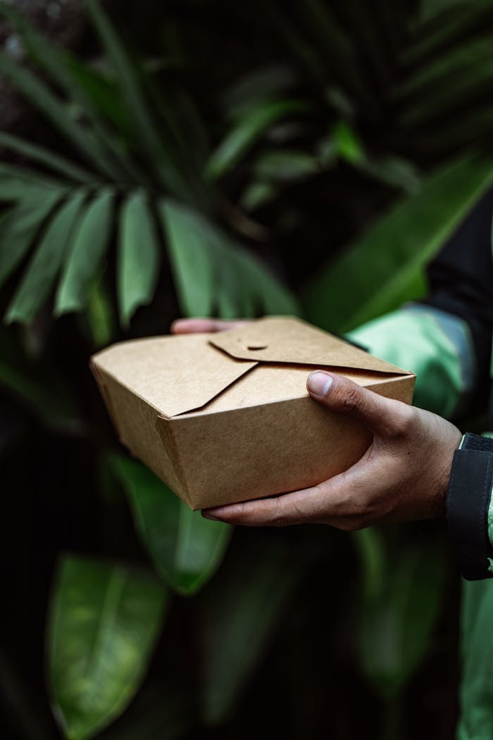Close-up of hands holding an eco-friendly meal box against lush green leaves.